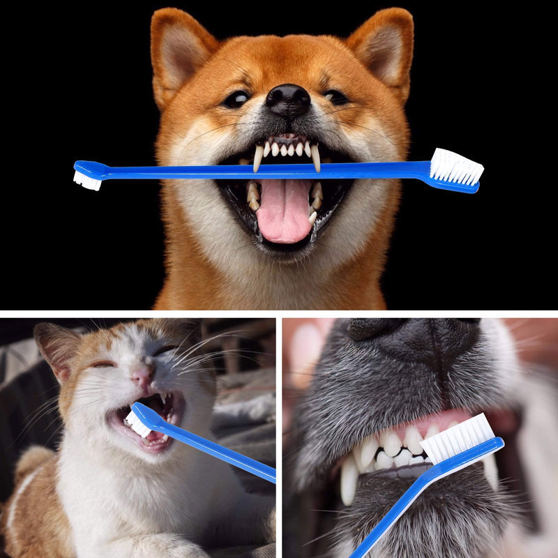 Newday 50 Pieces Double-Headed Dog Cat Pet Toothbrush , Super Soft Bristles Oral Care Teeth , pet tooth brush for dogs , dog toothbrushes in bulk individual polybag (Blue) - PawsPlanet Australia