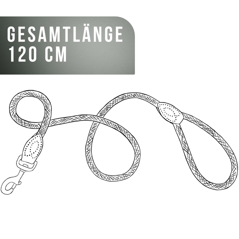 ne&no rope leash for dogs 1.2 m I training leash I dog leash robust I round lead, braided I hand strap I rope leash dog I city leash I dog leash (ANTHRACITE, 120 cm) ANTHRACITE - PawsPlanet Australia