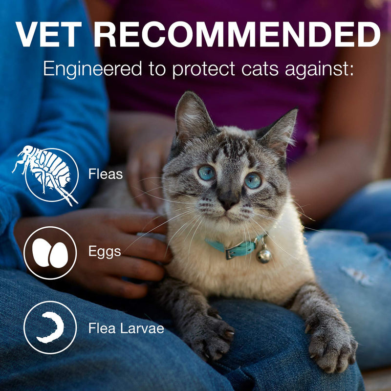 Advantage II 2-Dose Flea Treatment and Prevention for Kittens, 2-5 Pounds - PawsPlanet Australia