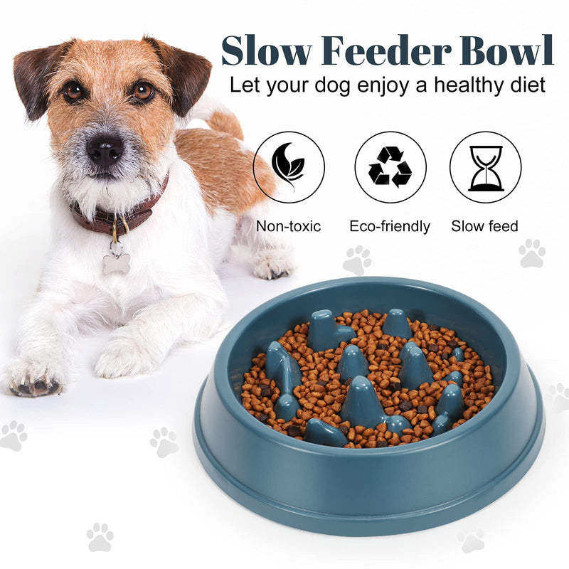 WHIPPY Slow Feeder Dog Bowl Dishes for Small Medium Dog Cat Non Slip Slow Eating Healthy Puppy Bowl Puzzle Maze Fun Feeder Interactive Bloat Stop Dog Pet Bowl, Blue - PawsPlanet Australia