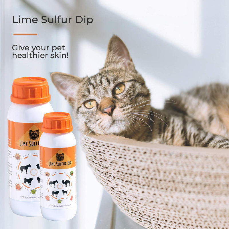 Classic's Lime Sulfur Dip (4, 8 and 16 fl oz) Pet Care and Veterinary Treatment Against Ringworm, Mange, Lice, Flea, Itchy and Dry Skin - Xtra Strength - Safe for Dog, Cat, Puppy, Kitten, Horse 16 oz - PawsPlanet Australia