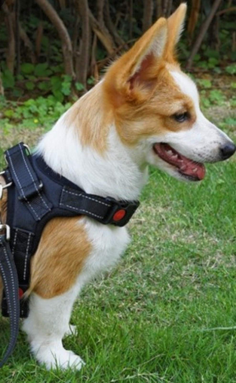 No Pull Dog Harness, Breathable Adjustable Dog Vest with Handle Front Clip for Small Medium Extra Large Dogs (Large) - PawsPlanet Australia