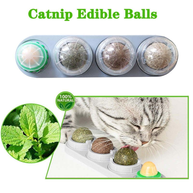 LQRLY Catnip Toys for Cats, Natural Rotatable Cat Catnip Toy Licking Balls Toy for Kitten Cats - PawsPlanet Australia