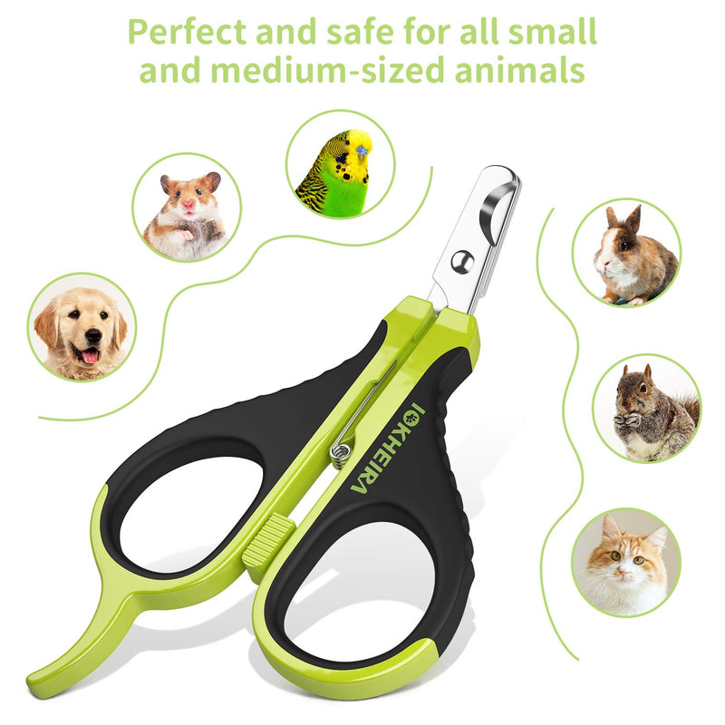 IOKHEIRA Cat Nail Clipper, Stainless Steel Cat Nail Trimmers, Guinea Pig Nail Clippers, Pet Nail Clippers for Cats, Pet Claw Scissors with Angled Blade, Bird Nail Clipper, Sharp Cat Nail Clipper Best - PawsPlanet Australia
