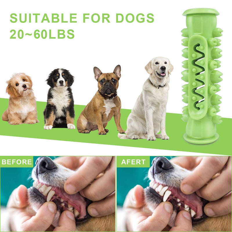 Dog Chew Toy, GLOMI Indestructible Puppy Chew Toys Dog Toothbrush Stick Natural Rubber Dental Care Dog Teeth Cleaning Toy for Small Medium Aggressive Chewer Green - PawsPlanet Australia