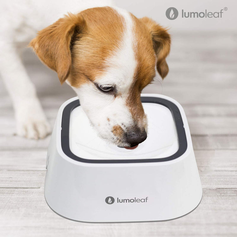 LumoLeaf No-Spill Pet Water Bowl Grey+White Companion - PawsPlanet Australia