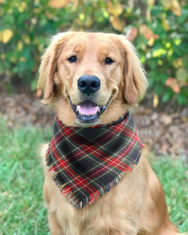 [Australia] - BoomBone Dog Bandana Christmas Plaid Bandanas for Dogs,Triangle Bibs Pet Scarf Accessories 