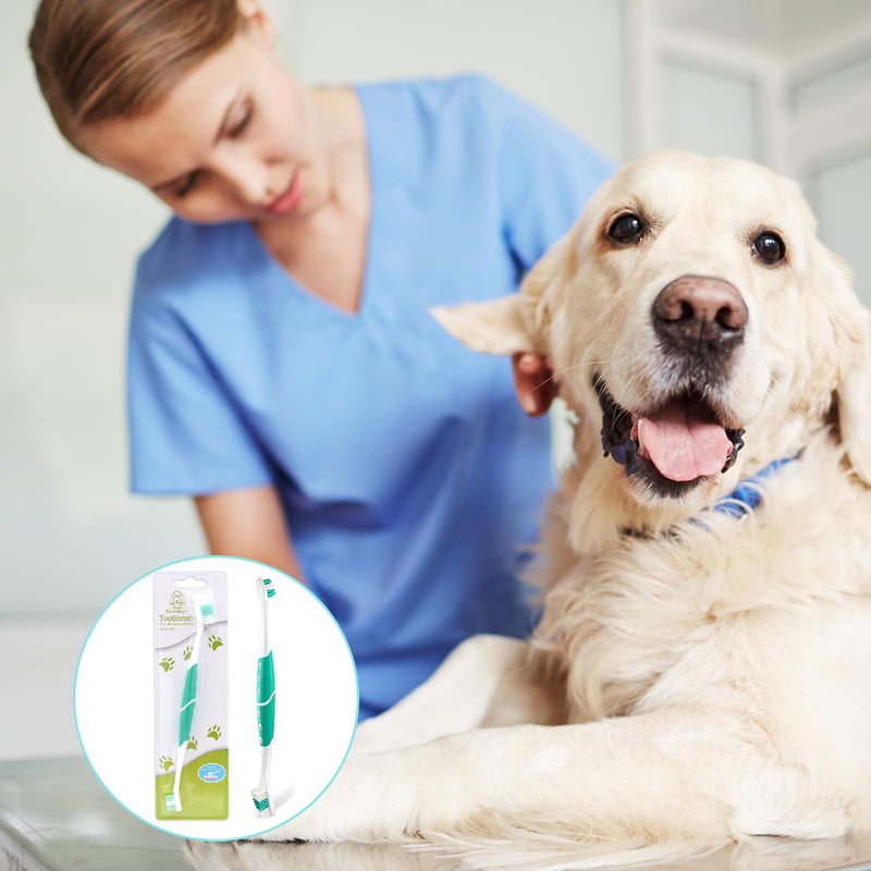 Toothbrush - dental care for dogs, dog toothbrush for dogs and cats, with special bristle cut for thorough and gentle cleaning, tartar for dogs, optimal dog dental care - 2 pieces Green Verde 1 piece (pack of 1) - PawsPlanet Australia