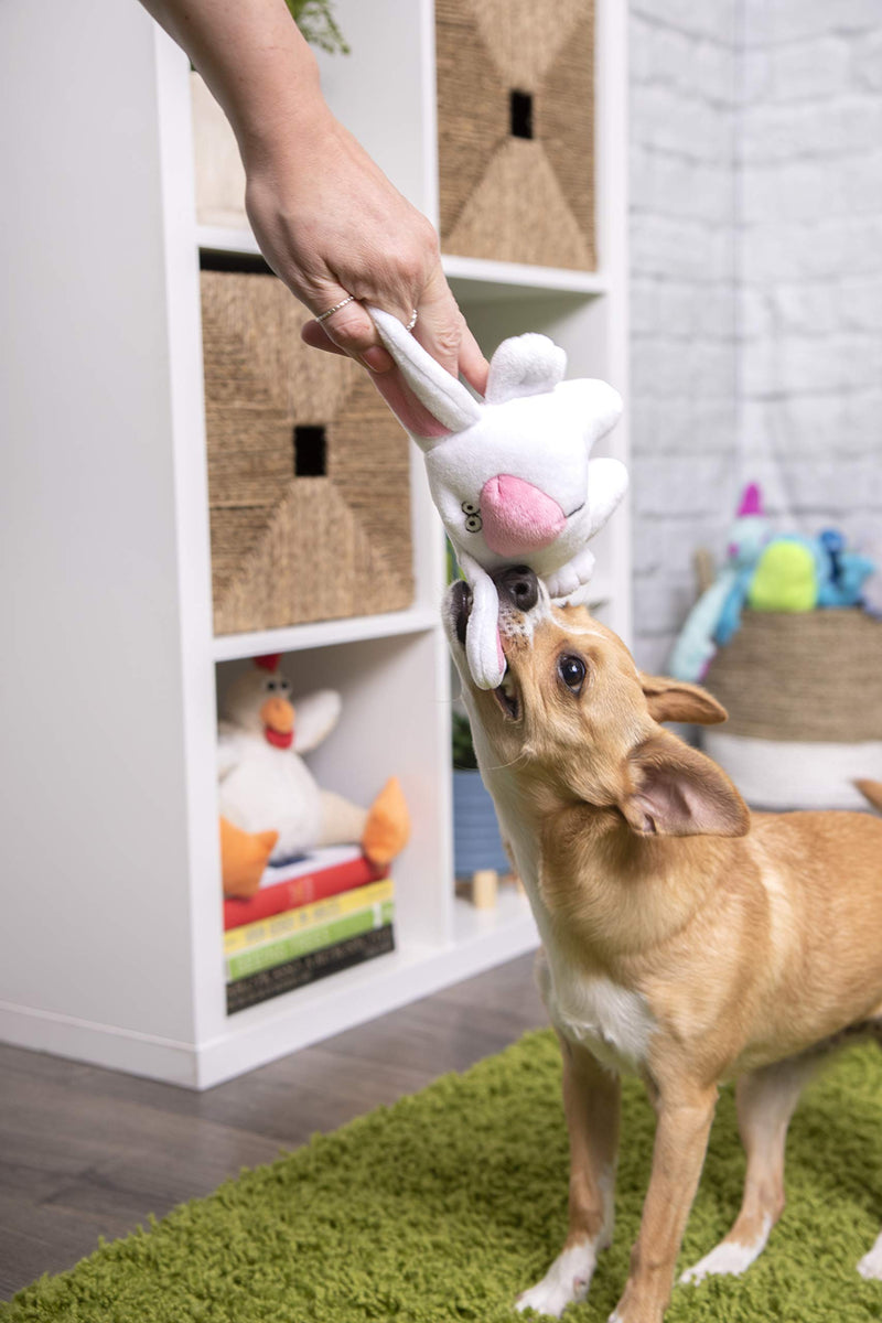 [Australia] - goDog Animals with Chew Guard Technology Durable Plush Dog Toys with Squeakers Small Big Nose Bunny 