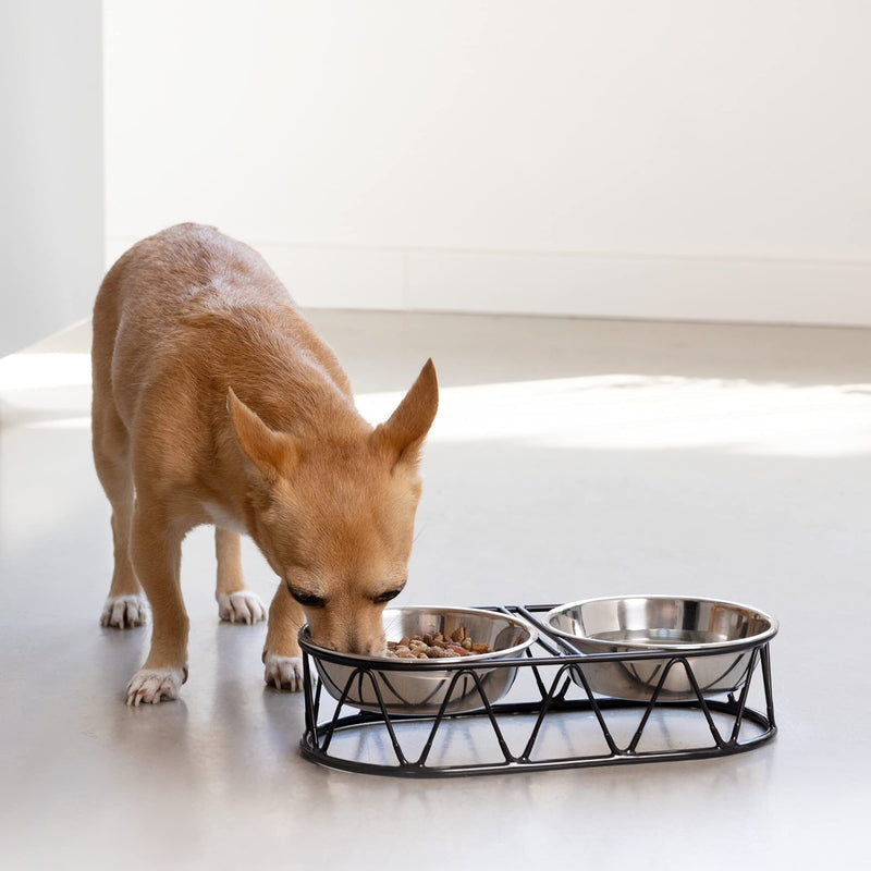 Navaris Steel Pet Bowl Set - Double Food Water Bowls for Cats, Small Dogs and Puppies with Metal Stand - Set of 2 Bowls - PawsPlanet Australia