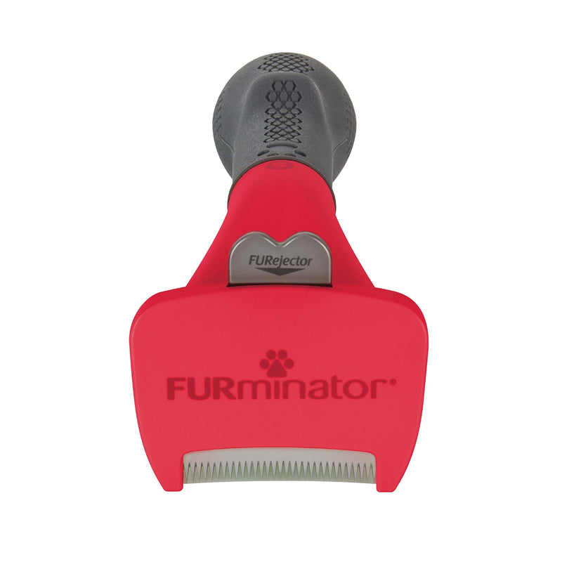 FURminator Undercoat Deshedding Tool for Dogs, Deshedding Brush for Dogs, Removes Loose Hair and Combats Dog Shedding Long Hair Small - PawsPlanet Australia