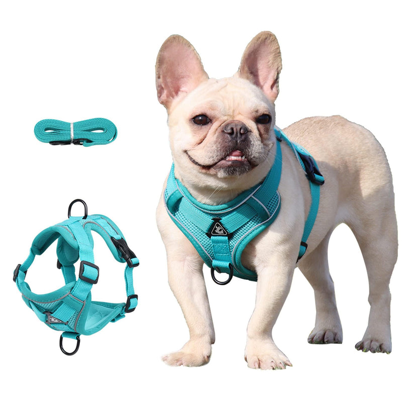 Air Mesh Breathable Chest Harness, Dog Harness with Leash, Soft Adjustable Reflective Anti-Pull Dog Harness, Adjustable Puppy Harness for Medium Small Large Dogs (M) M - PawsPlanet Australia