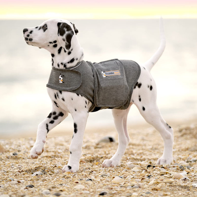 Thundershirt Anxiety Coat for Dog, S, Grey - PawsPlanet Australia