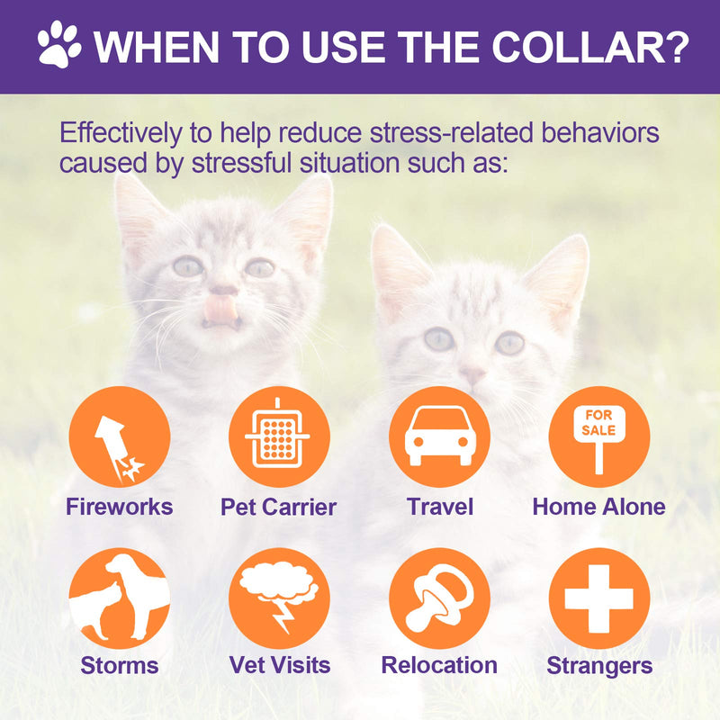 Fiada 6 Pieces Calming Cats Collar Adjustable Cat Relieve Reduce Anxiety Collar Lavender Scent Long-Lasting Relaxing Cat Collar with 3 Pendants for Puppies Cats Reduce Stress Anxious, Purple - PawsPlanet Australia