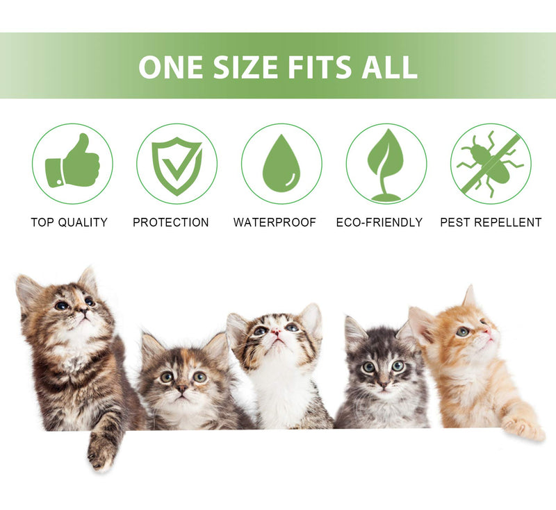 [Australia] - Petsvv 2 Pack Flea Collar for Cats, Lasting Cat Flea Collar, Easy to Repels Fleas & Ticks, Safe and Waterproof 