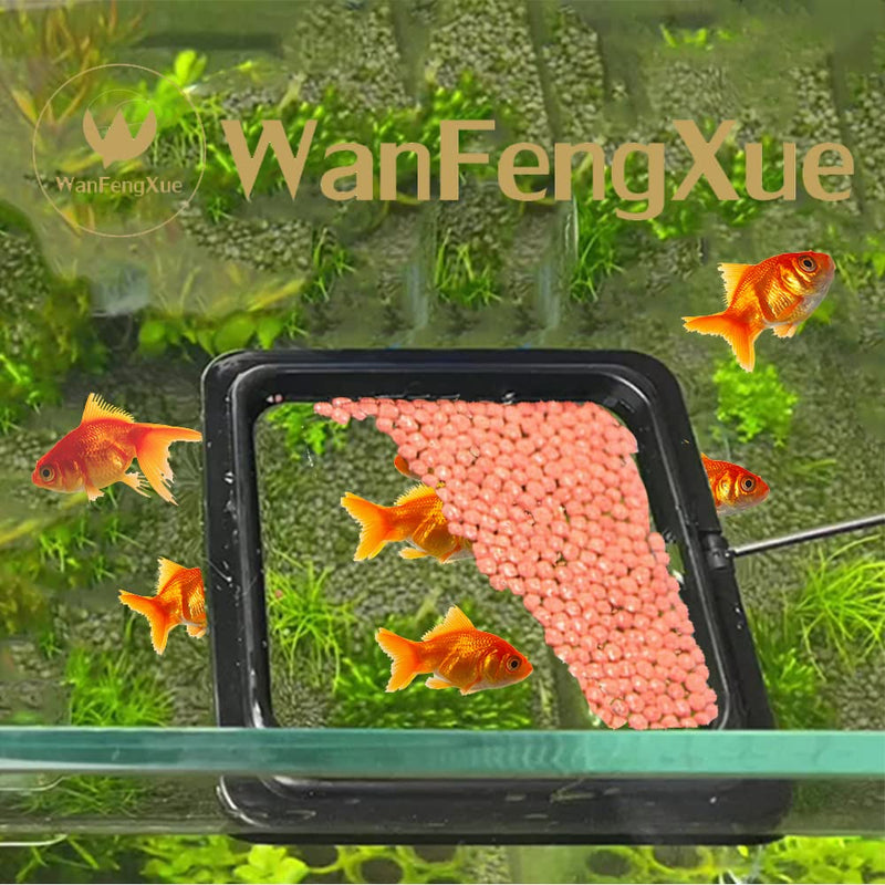 WanFengXue 2 Pcs Fish Feeding Ring Black 10cm Square Aquarium Fish Feeder with Suction Cups for Goldfish and Other Smaller Fish - PawsPlanet Australia