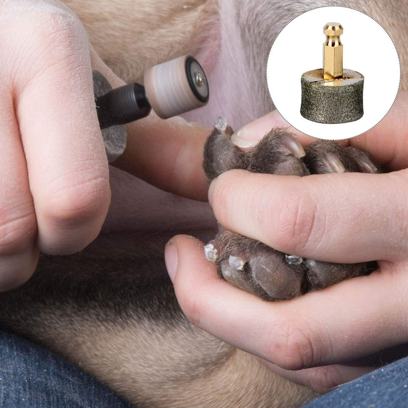 Balacoo 5pcs Dog Nail Grinder Replacement Head Pet Nail Grinder Diamond Tip for Dog Electric Claw Nail Grooming Tool - PawsPlanet Australia