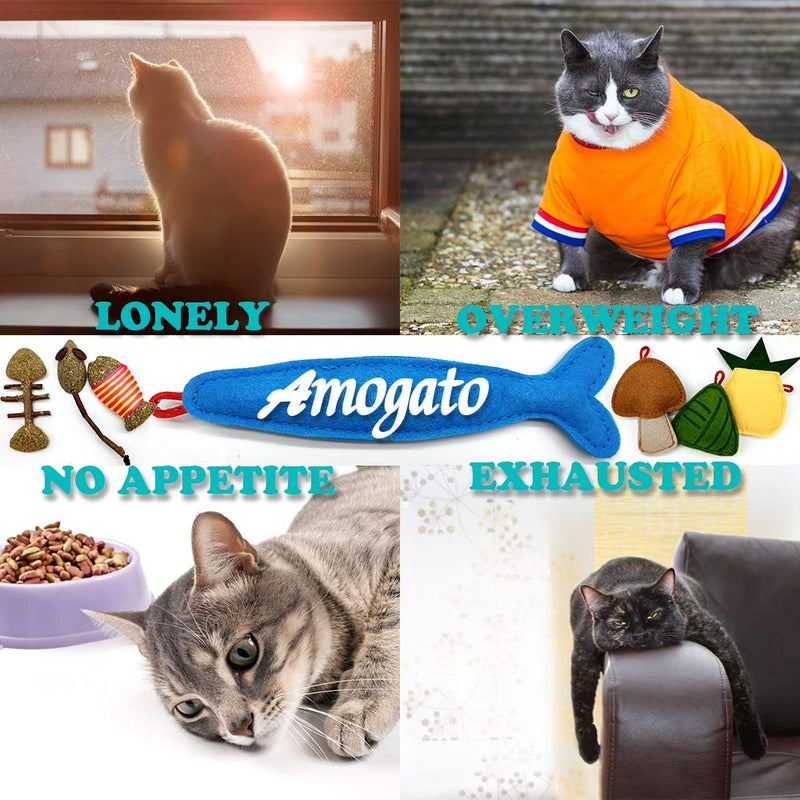 [Australia] - Amogato 9 Pack Catnip Toys for Indoor Cats, Kitten Cat Toys with Catnip Natural for Dental Health 