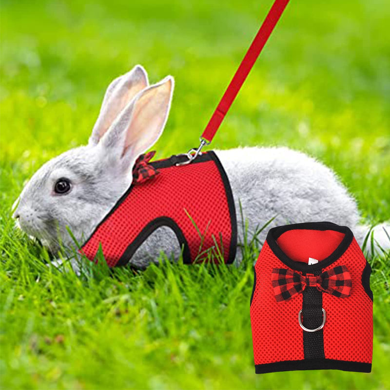 Rabbit harness, adjustable rabbit leash, rabbit harness, rabbit harness, mesh rabbit harness with leash, breathable rabbit leash for small animals, hamsters, guinea pigs, cats, pack of 2 - PawsPlanet Australia