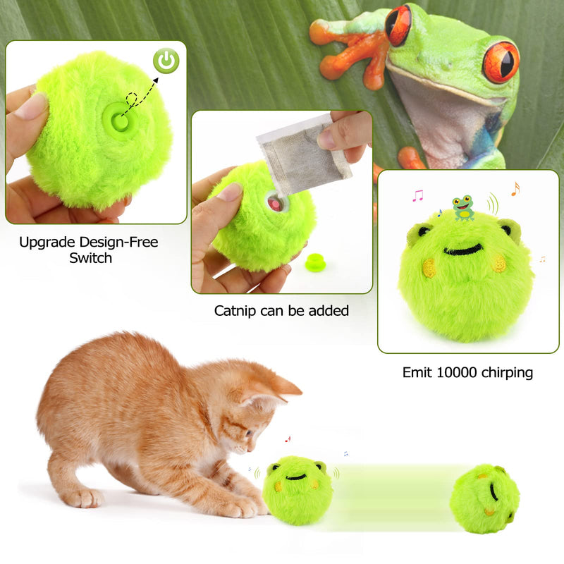 Cat Toy with Catnip, Interactive Cat Ball Electric with Sound, Cat Toy for Cat Exercise Green - PawsPlanet Australia