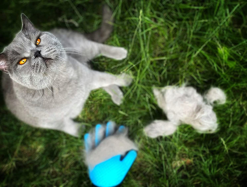 LÖWENKÖNIG® Taurus 3.0 [Improved grooming glove with extra long soft nubs] for short and long-haired cats and dogs I pet brushing glove I massage brush I cat accessories - PawsPlanet Australia