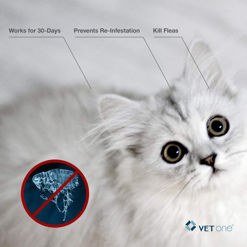 VetOne: CrossBlock II Kills & Prevents Fleas on Cats & Kittens up to 9 Lbs. 3 Applications - PawsPlanet Australia