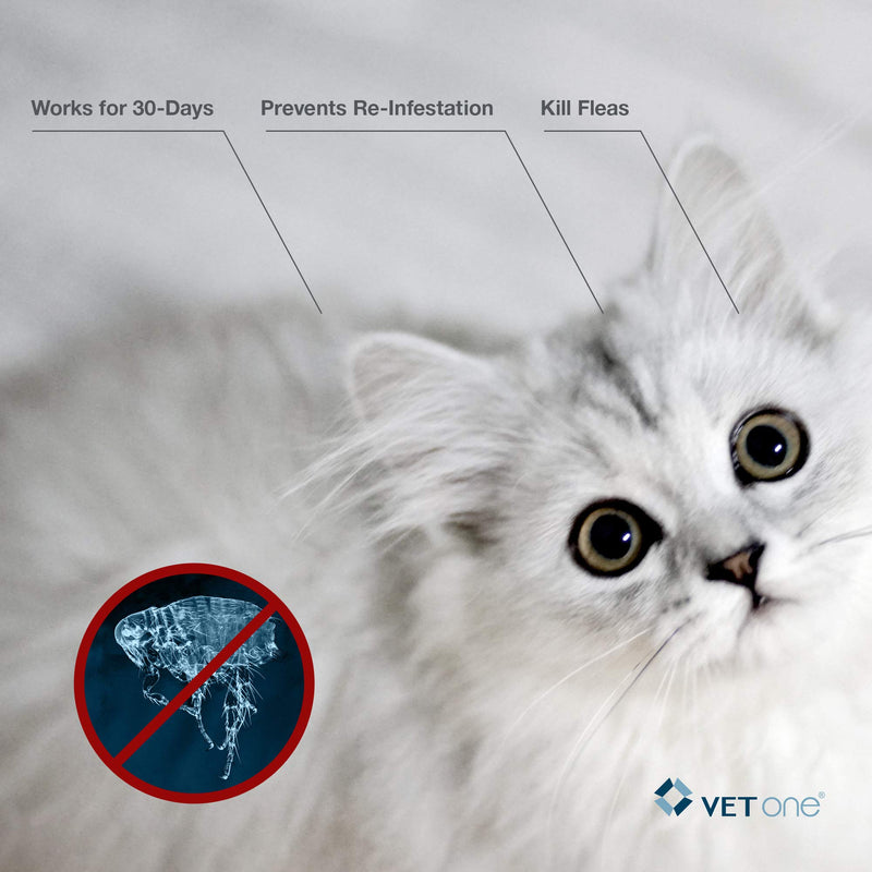 VetOne: CrossBlock II Kills & Prevents Fleas on Cats & Kittens Over 9 Lbs. 3 Applications. - PawsPlanet Australia