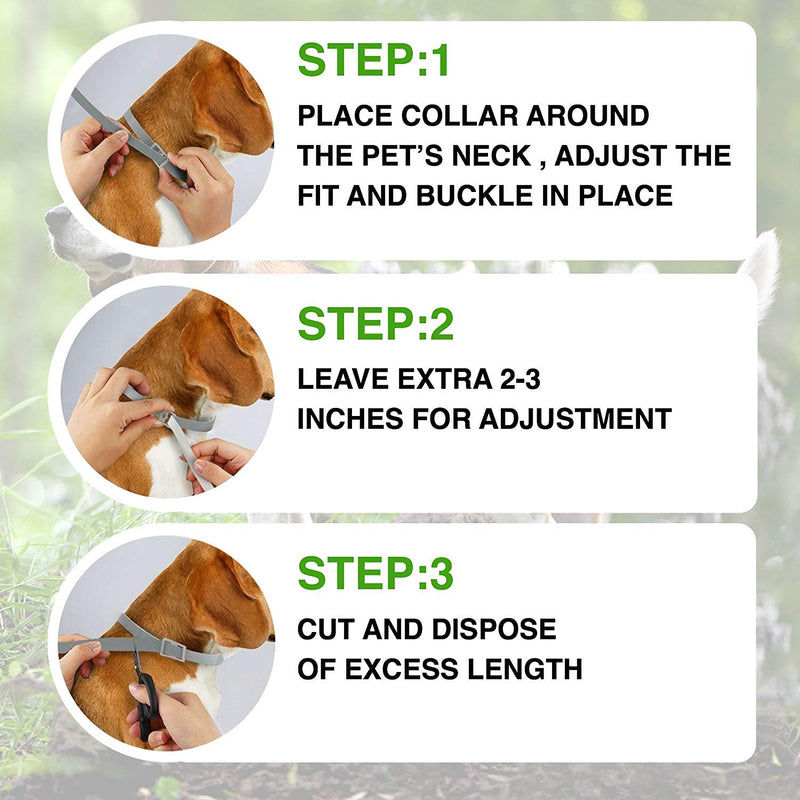 PROZADALAN Waterproof Flea Collar for Dogs, Waterproof Design and 8 Months Effective Anti-Pest Collar Adjustable Natural for Small Pets Medium Size (60 cm) - PawsPlanet Australia