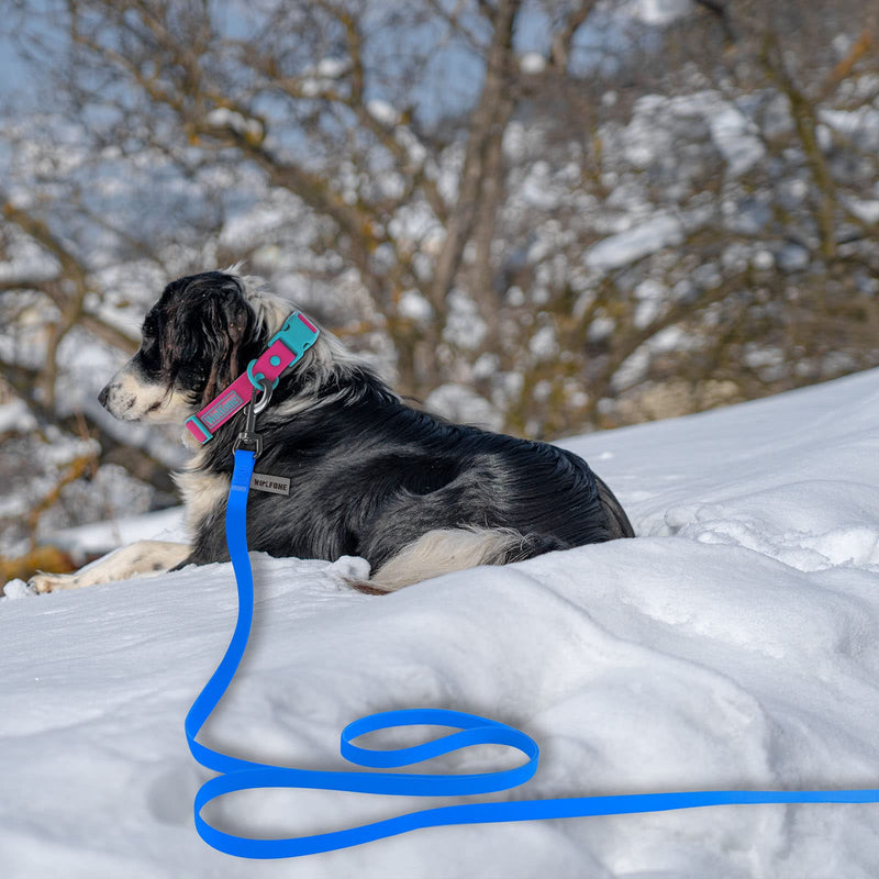 Wolfone 15m blue towing leash for dogs, waterproof training leash, durable and easy-care leash, suitable for recall, swimming, camping, beach, hunting, walks - PawsPlanet Australia