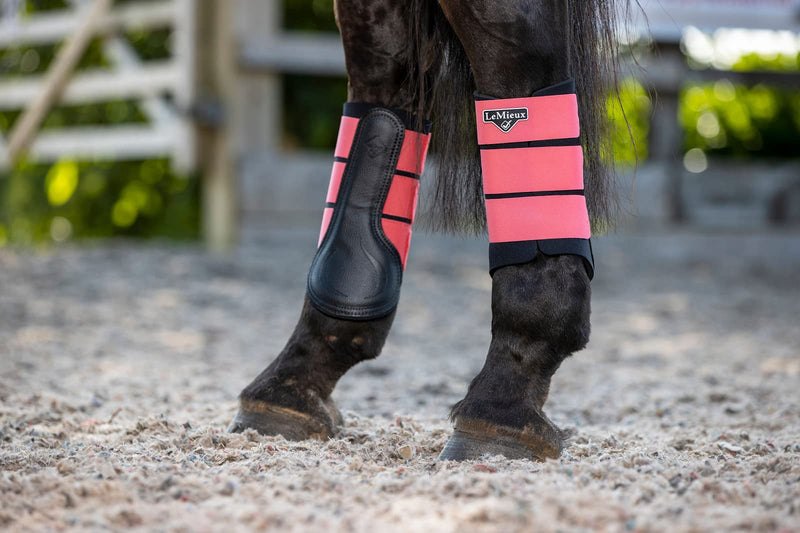 LeMieux Grafter Pony/Horse Brushing Boot - Watermelon S - PawsPlanet Australia