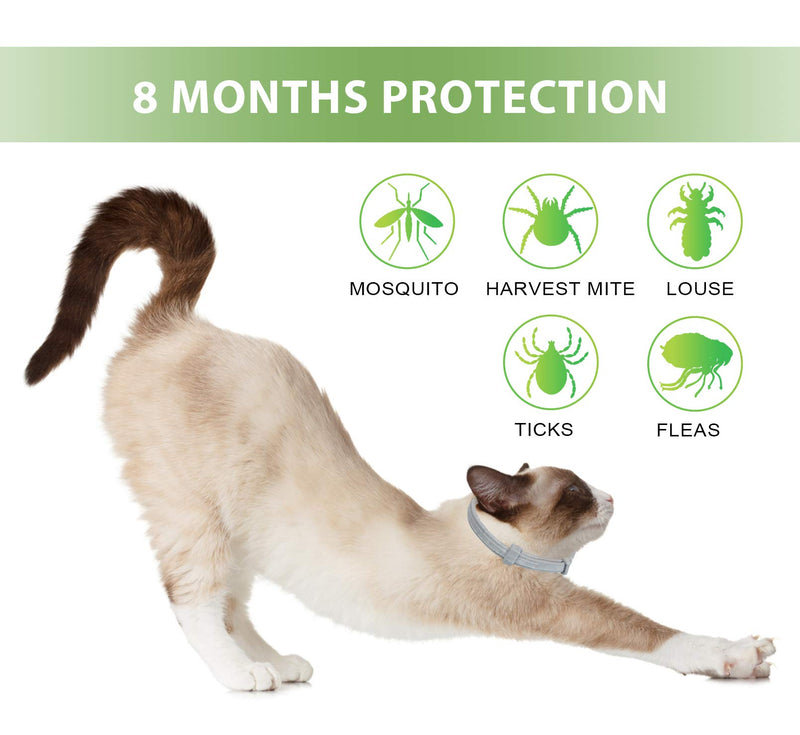 [Australia] - Petsvv 2 Pack Flea Collar for Cats, Lasting Cat Flea Collar, Easy to Repels Fleas & Ticks, Safe and Waterproof 