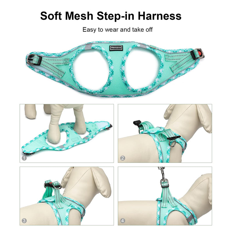Mercano Soft Mesh Dog Harness and Leash Set, No-Chock Step-in Reflective Breathable Lightweight Easy Walk Escape Proof Vest Harnesses with Safety Buckle for Small Medium Dogs, Cats (Light Green, XXS) XX-Small Light Green - PawsPlanet Australia