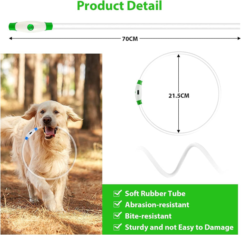 HezzLuv LED Dog Light Collar, USB Rechargeable Safety Collar, Adjustable Length, Suitable for Dogs and Cats (3 Lighting Modes) Green - PawsPlanet Australia