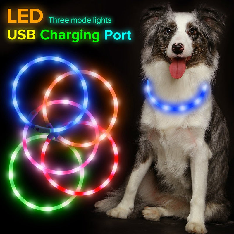 [Australia] - HiGuard LED Dog Collar, USB Rechargeable Glowing Pet Safety Collars, Adjustable Water-Resistant Flashing Light Up Necklace Collar Make Your Dogs High Visible & Safe in the Dark (1Pack-Blue) 