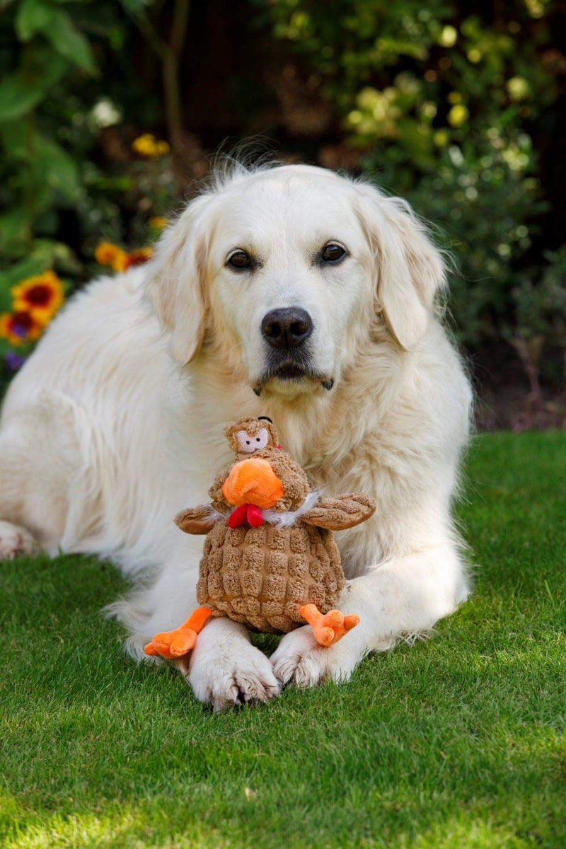 Petface Farmyard Buddies Chunky Chicken Dog Toy - PawsPlanet Australia