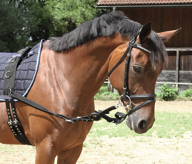 Kerbl Side Reins with Rubber Ring 2-Piece Set black pony - PawsPlanet Australia