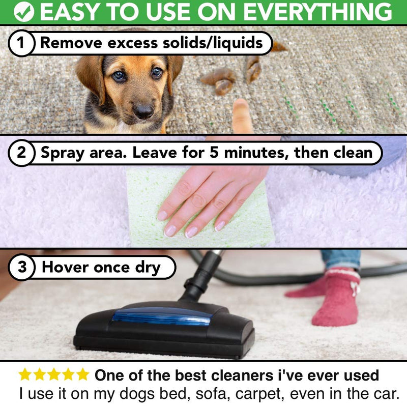 The Healthy Dog Co All Natural Pet Stain and Odour Remover for Dogs & Cats | Enzyme Pet Carpet Cleaner Spray & Deodoriser | Kills Germs, Removes Vomit, Urine, Faeces, Drool, Smells | 1 Litre - PawsPlanet Australia