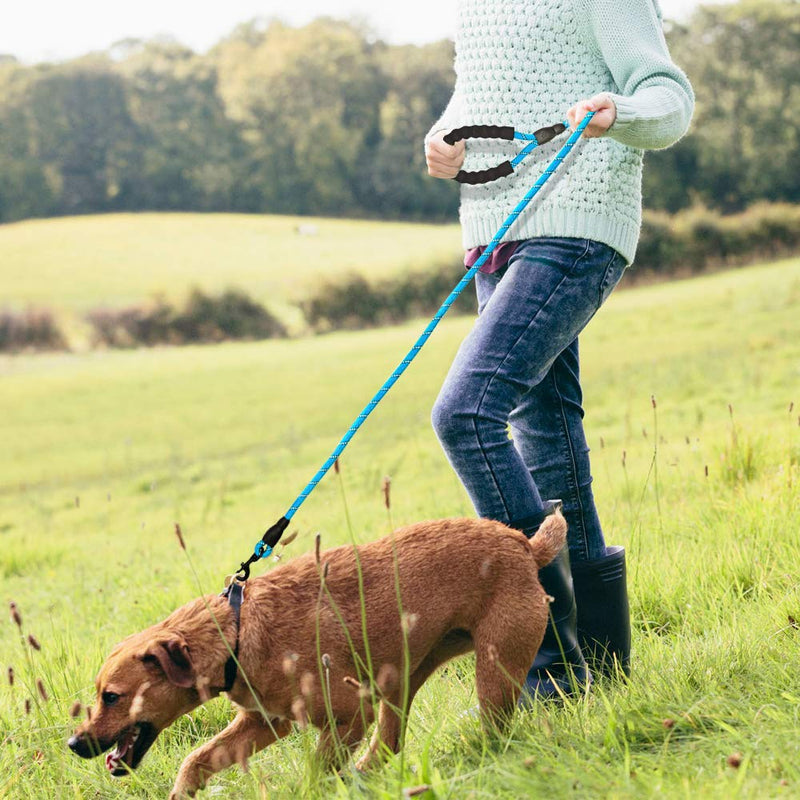 [Australia] - Amebo Reflective Dog Leash,5 FT Dog Training Leash,Nylon Leash Dog Mountain Climbing Rope for Strong Small Medium Large Dog Black 