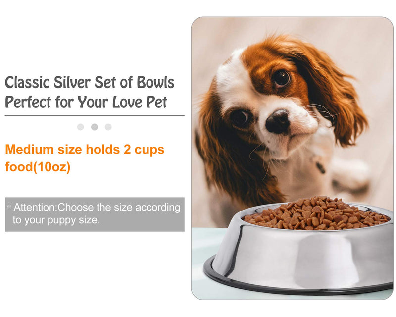 JASGOOD Stainless Steel Dog Bowls, Dog Feeding Bowls,Non-slip Rubber Bases Dog Plate Bowls, Medium Pet Feeder Bowls Water Bowls Set of 2(Medium,Silver) A-Silver - PawsPlanet Australia