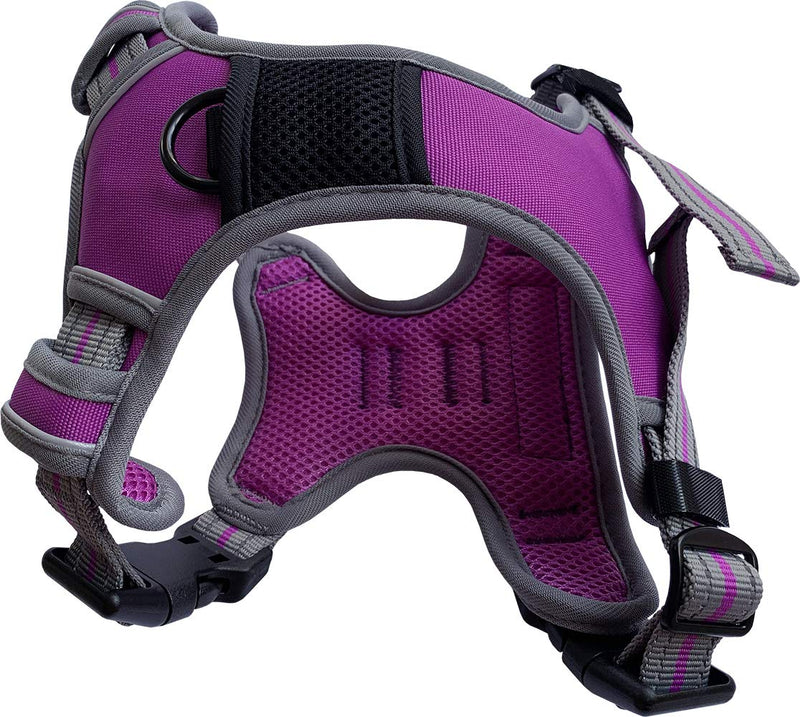 Dog & Co Sports Harness, Padded and Reflective, Purple Extra Large - PawsPlanet Australia