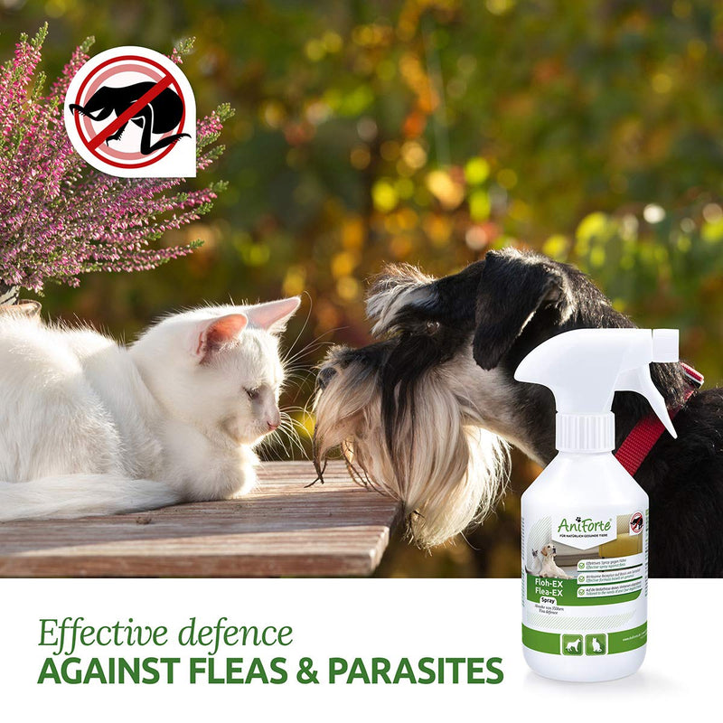 AniForte Flea EX Spray 250ml - Flea Treatment for Dogs & Cats that Rapidly Deters & Removes Parasites From Pets & Household Items - PawsPlanet Australia