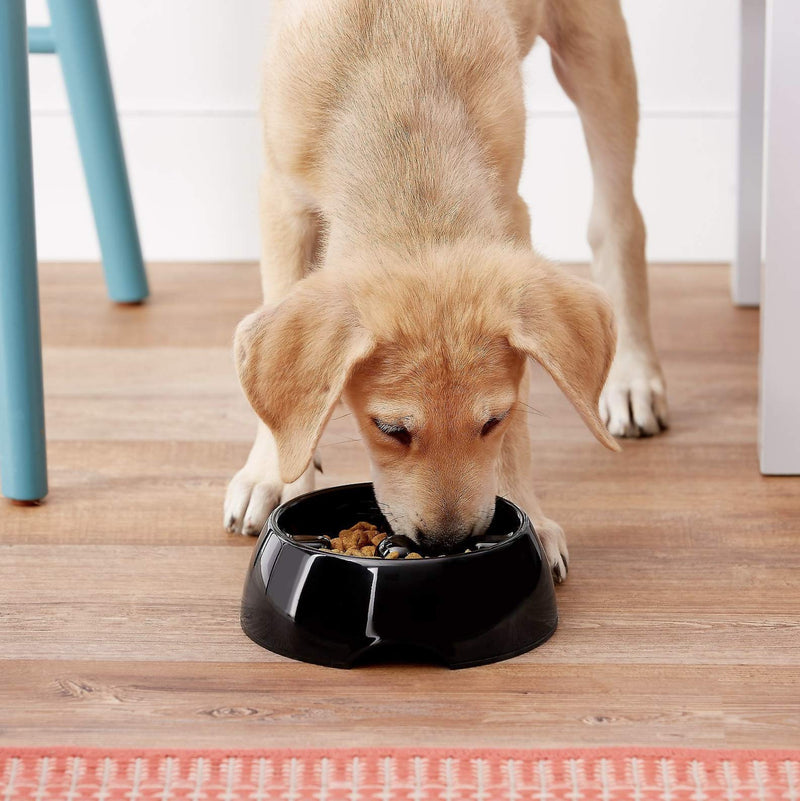 Dogit Go Slow Anti-Gulping Dog Dish, Slow Feeding Dog Bowl Suitable for Wet or Dry Food Extra Small Black - PawsPlanet Australia