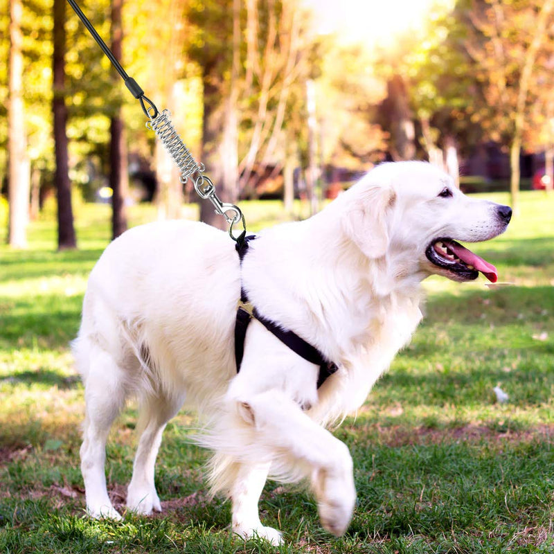 Bestcool Pet Tie-out, Two-headed Pet Safety Rope Puppy Lead Leash Metal Chain Black Steel Wire Rope Twist Lead Durable Dog Tether Cable of 19.69ft for Outdoors(6m) 6 m (Pack of 1) - PawsPlanet Australia