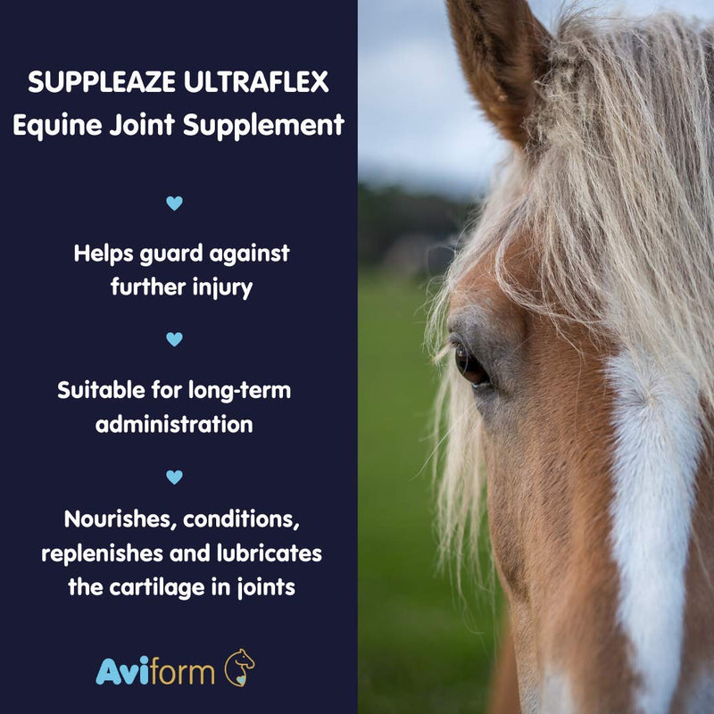 Aviform Suppleaze Ultraflex (1Kg) 1Kg - PawsPlanet Australia