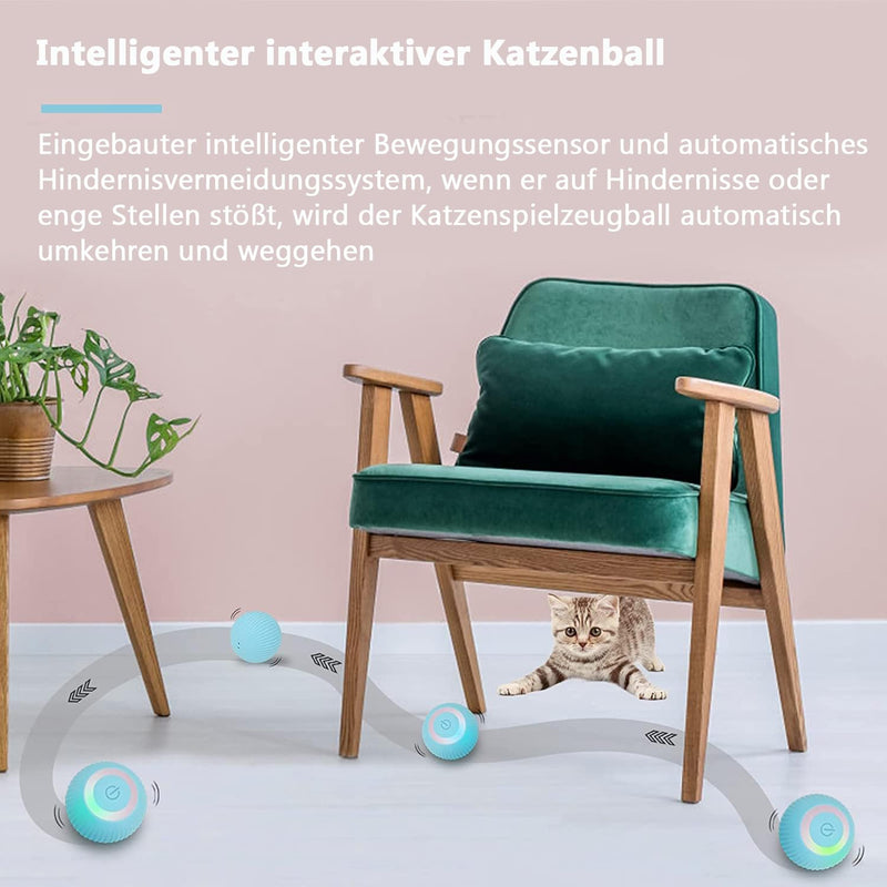 Cat Toy Electric with LED Light Cat Toy Self-employment 360 Degree Ball Interactive Cat Toy Self-Rotating Intelligent USB Rechargeable Cat Toy Ball Blue - PawsPlanet Australia