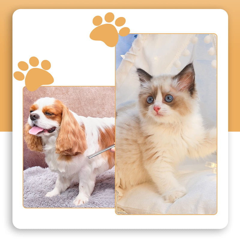 Forbici Toelettatura Cani 4 pezzi Per Cani Pet Scissors Dog Grooming Curve Toelettatura Forbici Cani kit forbici Gatti Forbici Acciaio Inossidabile Up Curved 1 Pettine Per Cani 1 Custodia Per Forbici - PawsPlanet Australia