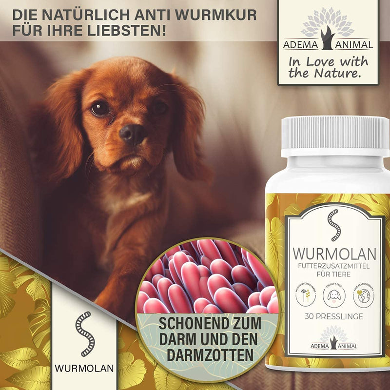 NEW: Adema Animal® Wormolan pellets for dogs, cats and rodents - worm treatment for pets - before, during and after infestation - natural remedy - dewormer for animals - 30 pellets content - PawsPlanet Australia