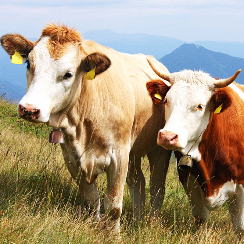 Lucywey Pack of 6 cow bells, small pasture bells, copper bells with 10 m long rope for farm animals - PawsPlanet Australia