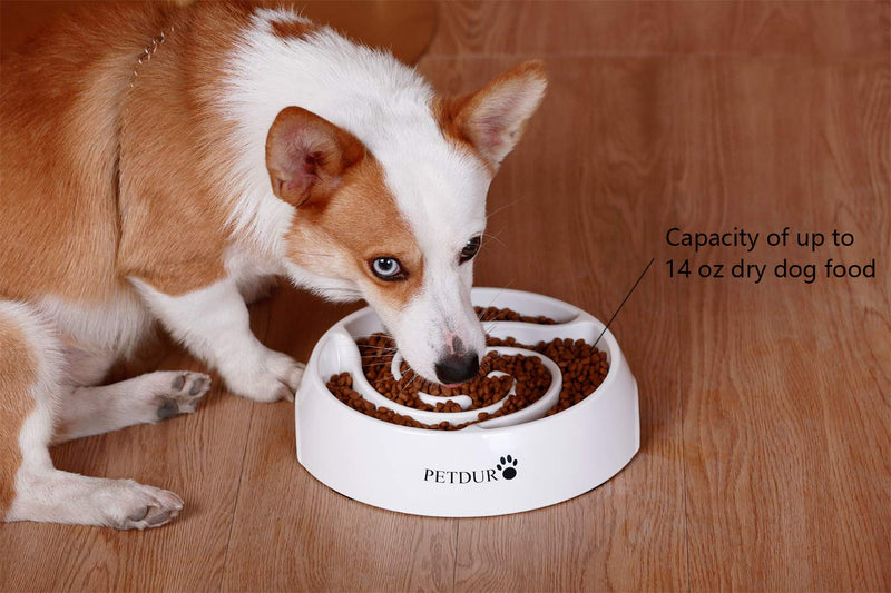 [Australia] - PETDURO Slow Feed Dog Bowl Large 9.75 inch with Food Capacity of 14 oz, Durable Pet Slow Eating Bowl with Non-Slip Base Easy Cleaning Avoid Indigestion or Obesity 