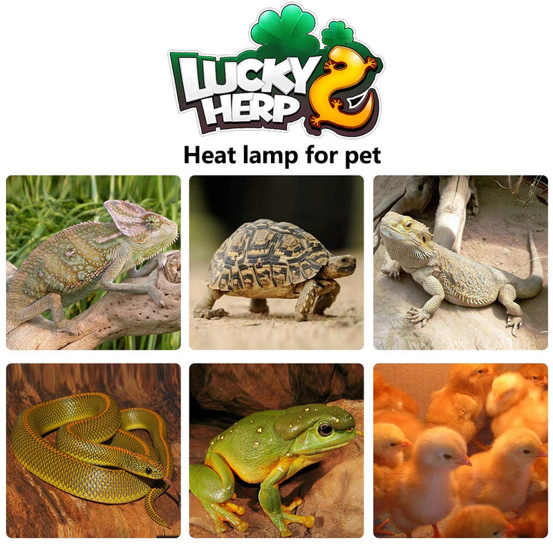 LUCKY HERP 2 Pack 100W Reptile Heat Bulb, Basking Spot Heat Lamp for Reptiles, Amphibian, Chicks, Dog Heating Use 100W(2 Pack) - PawsPlanet Australia